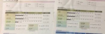 실제 기자의 체성분 분석 결과. 운동 후 오히려 근육을 줄고 체지방은 늘어난 신기한 현상이 일어났다. 사생활 보호를 위해 구체적인 수치는 공개하지 않는다. - 권예슬 기자 yskwon@donga.com 제공